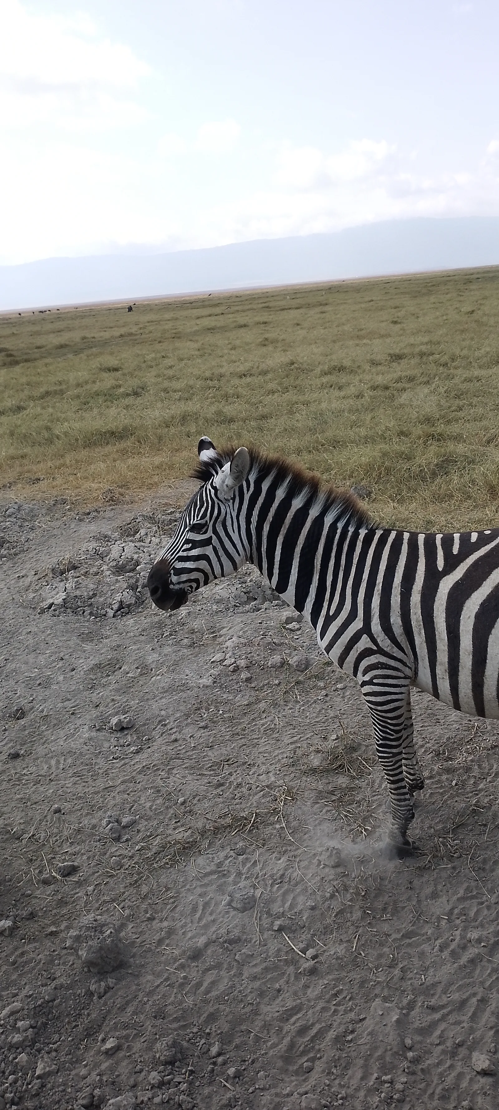 3-Day Kidepo National Park Wildlife Safari gallery image