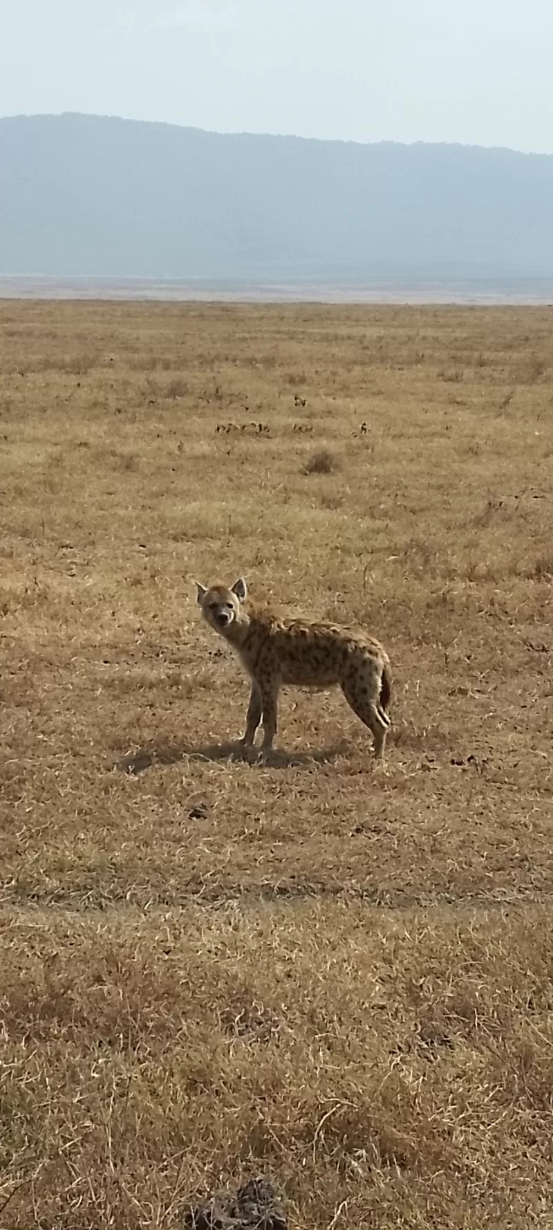 3-Day Rwanda Wildlife Safari in Akagera National Park - Rwanda gallery image