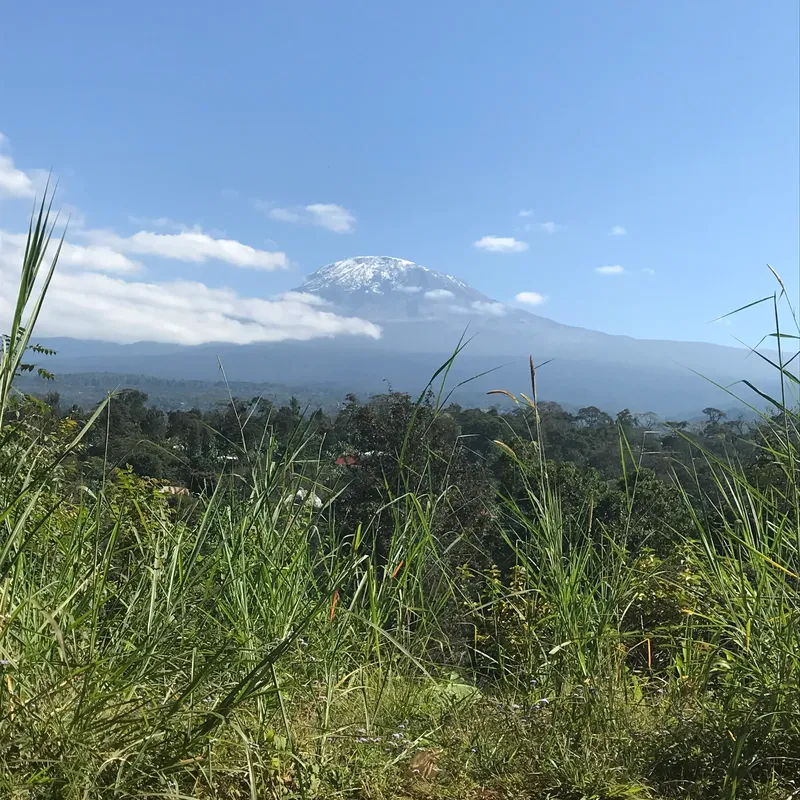 1-Day Trip to Materuni Waterfall & Coffee Tour Safari gallery image