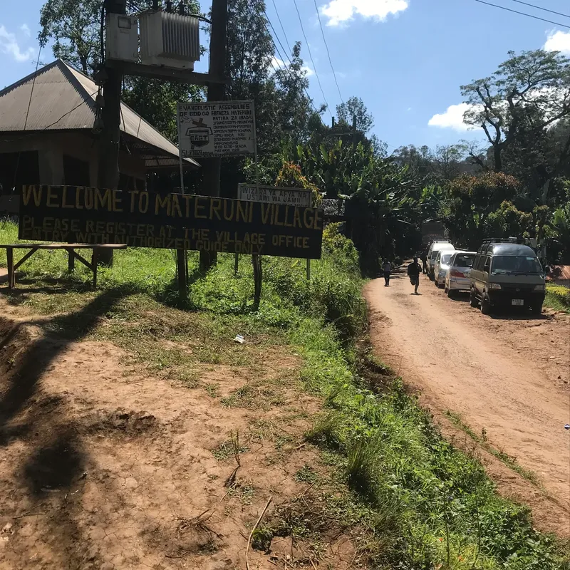 1 Day Materuni Waterfall Coffee Tour & Village Tour