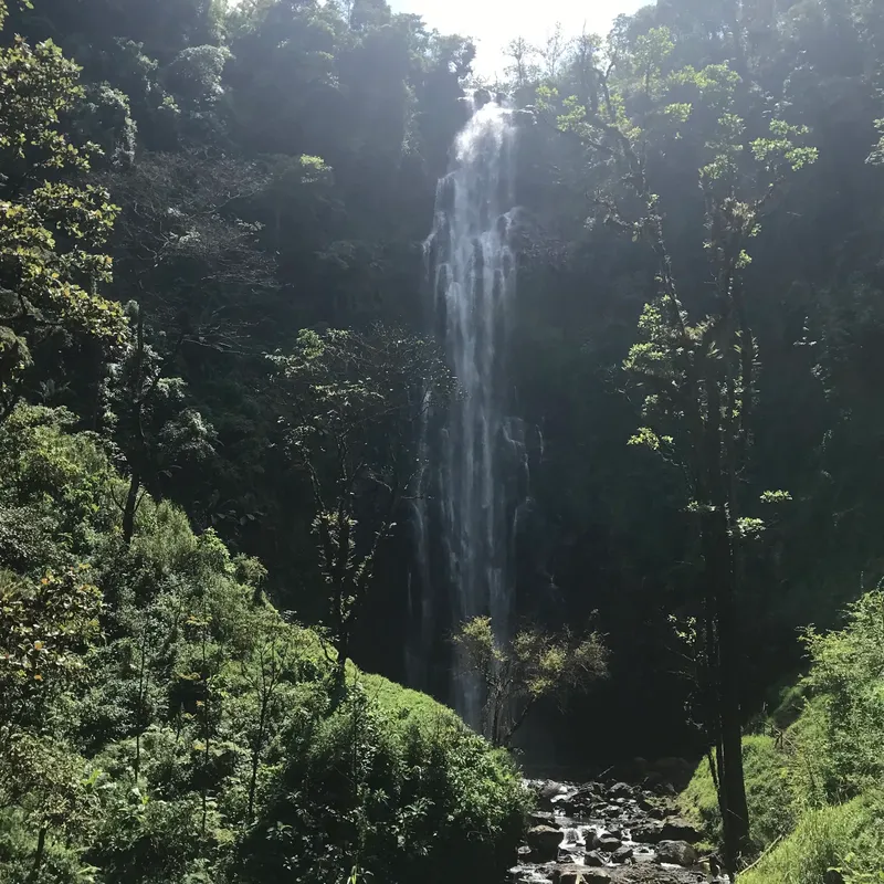 1-Day Trip to Materuni Waterfall & Coffee Tour Safari gallery image