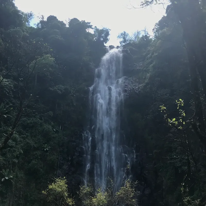 1-Day Trip to Materuni Waterfalls & Coffee Tour 2026 2027 gallery image