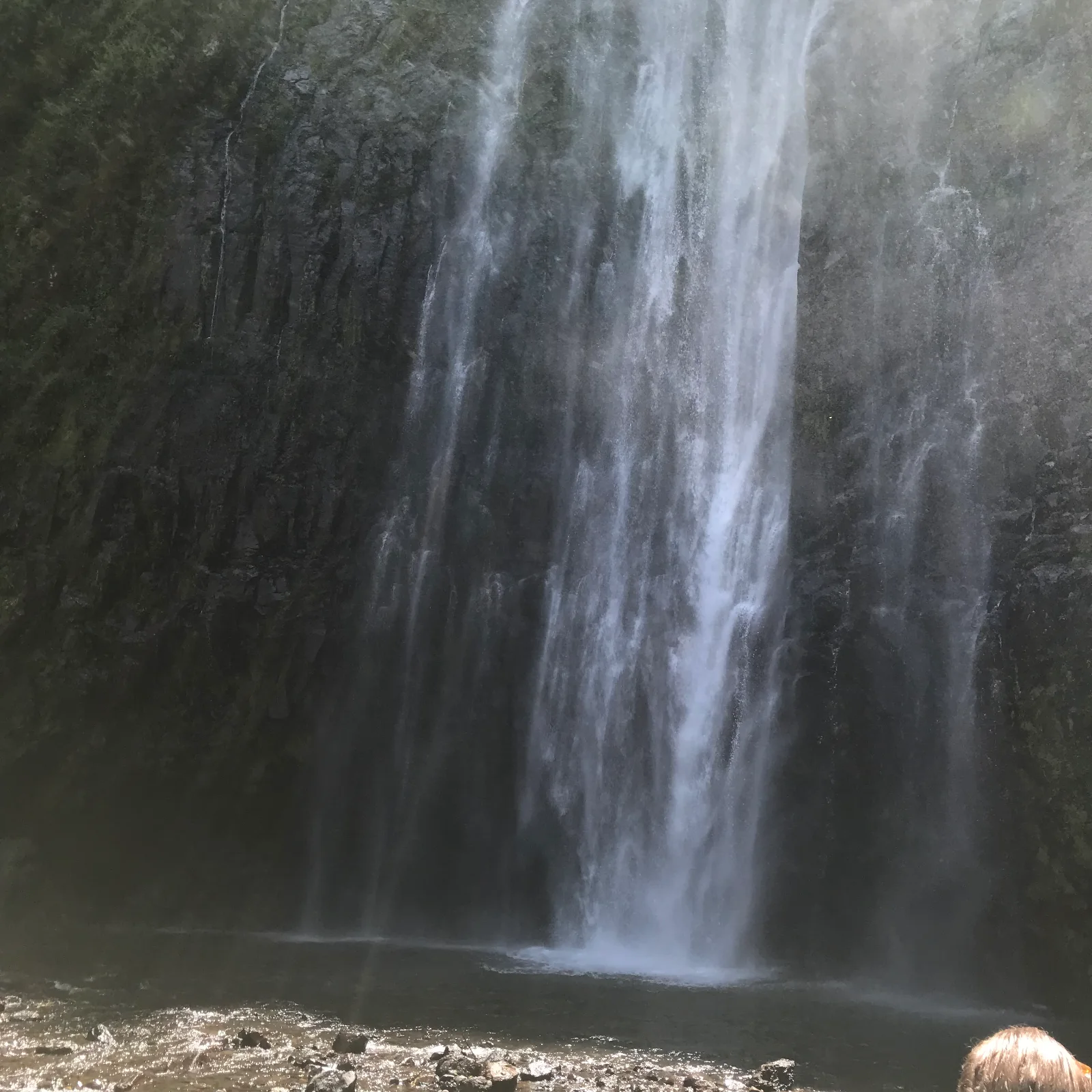 The best Chemka Hot Springs day trip near Moshi, Tanzania 2026