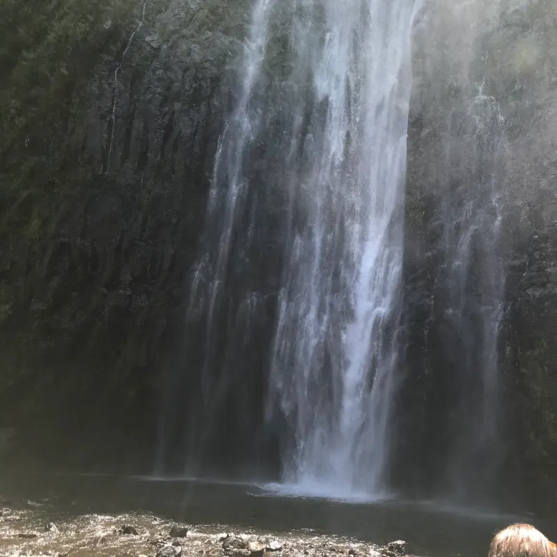 The best Chemka Hot Springs day trip near Moshi, Tanzania 2026