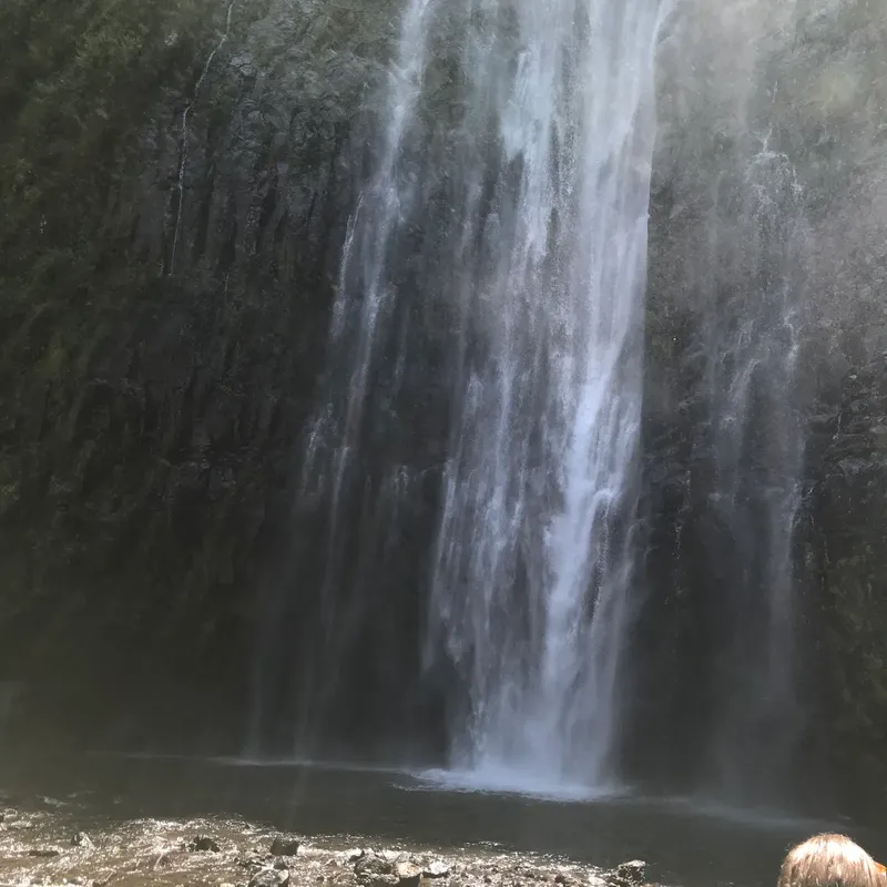 1-Day Trip Kilimanjaro Foothills Hike Shimbwe to Materuni 2026 2027 gallery image