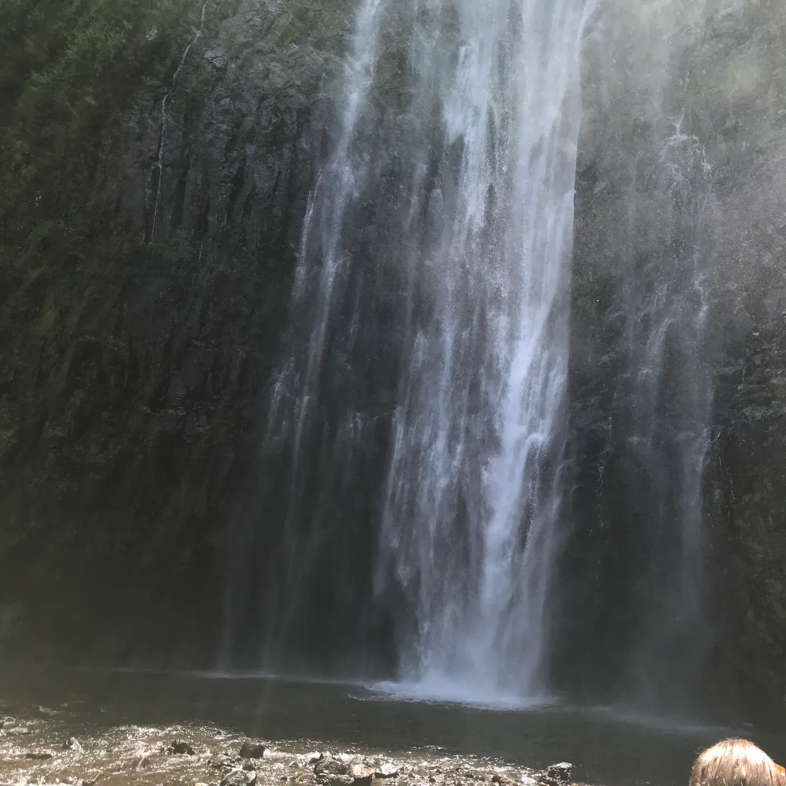 1-Day Trip to Materuni Village and Waterfalls Tour 2026 2027 hero photo