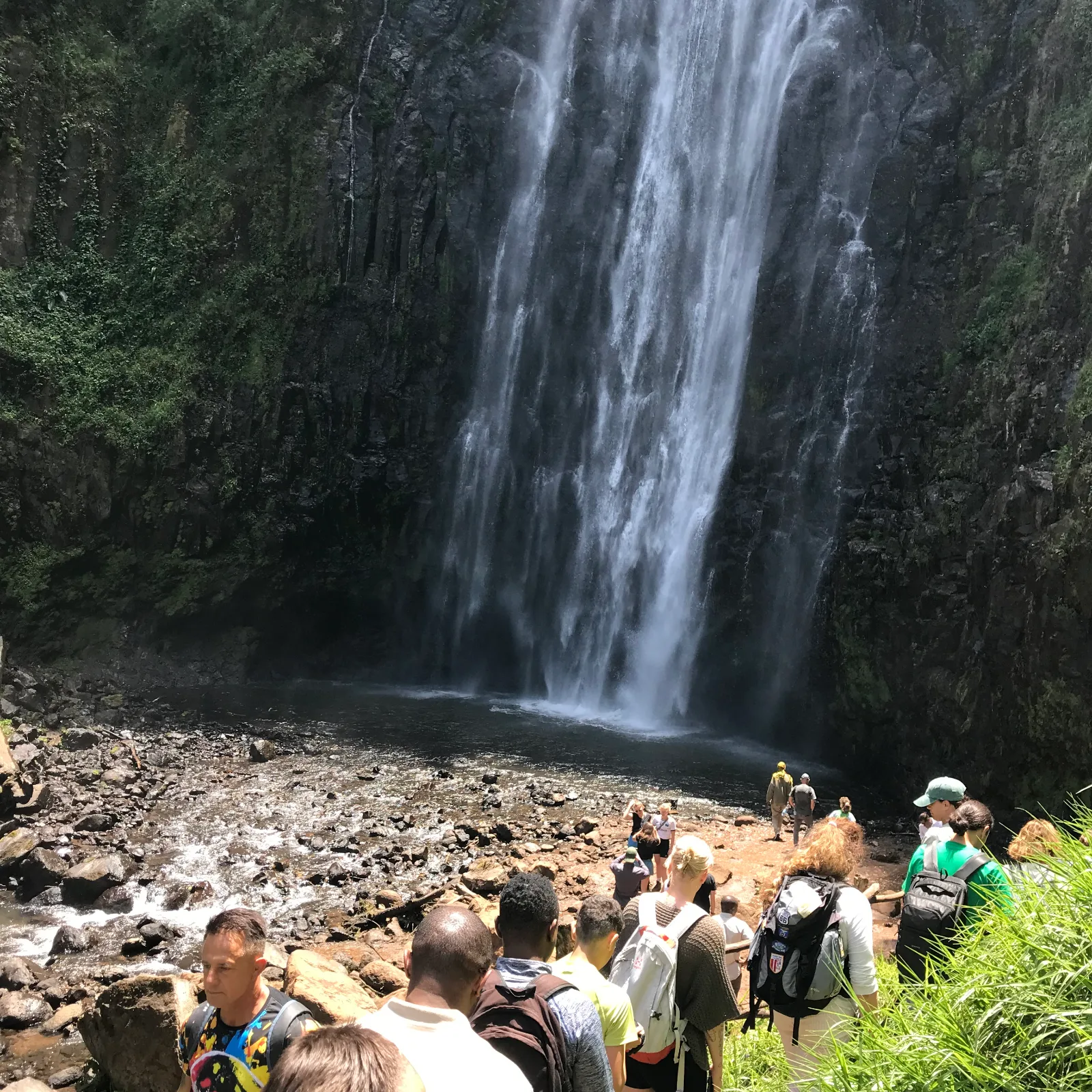 1-Day Trip Materuni Waterfall Coffee Tour and  Hotspring Safari gallery image