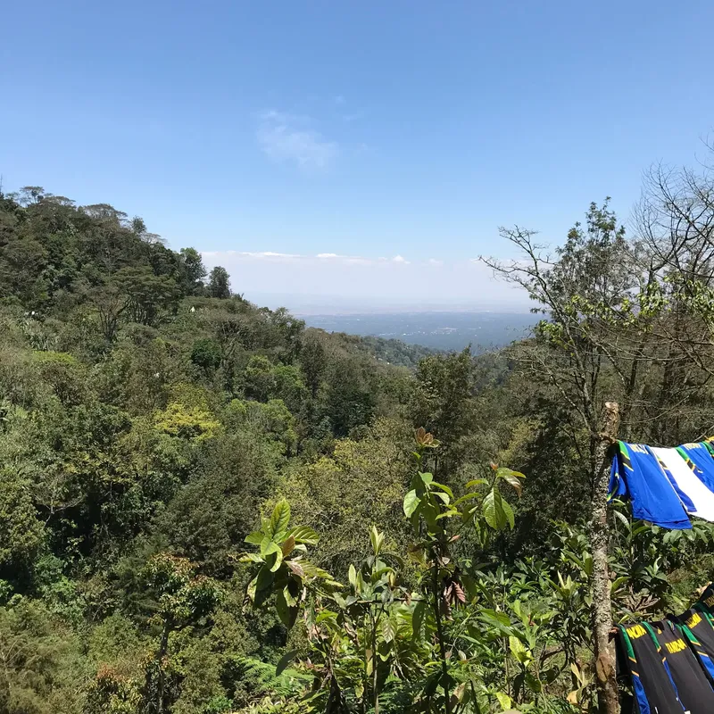 1-Day Trip Kilimanjaro Foothills Hike Shimbwe to Materuni 2026 2027 gallery image