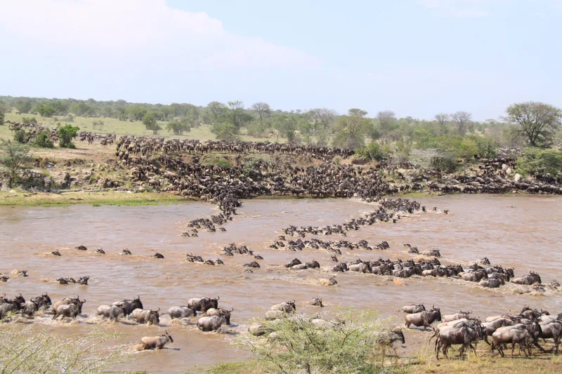 5-Day Awesome Kenya - Mid-Range - Kenya safaris gallery image