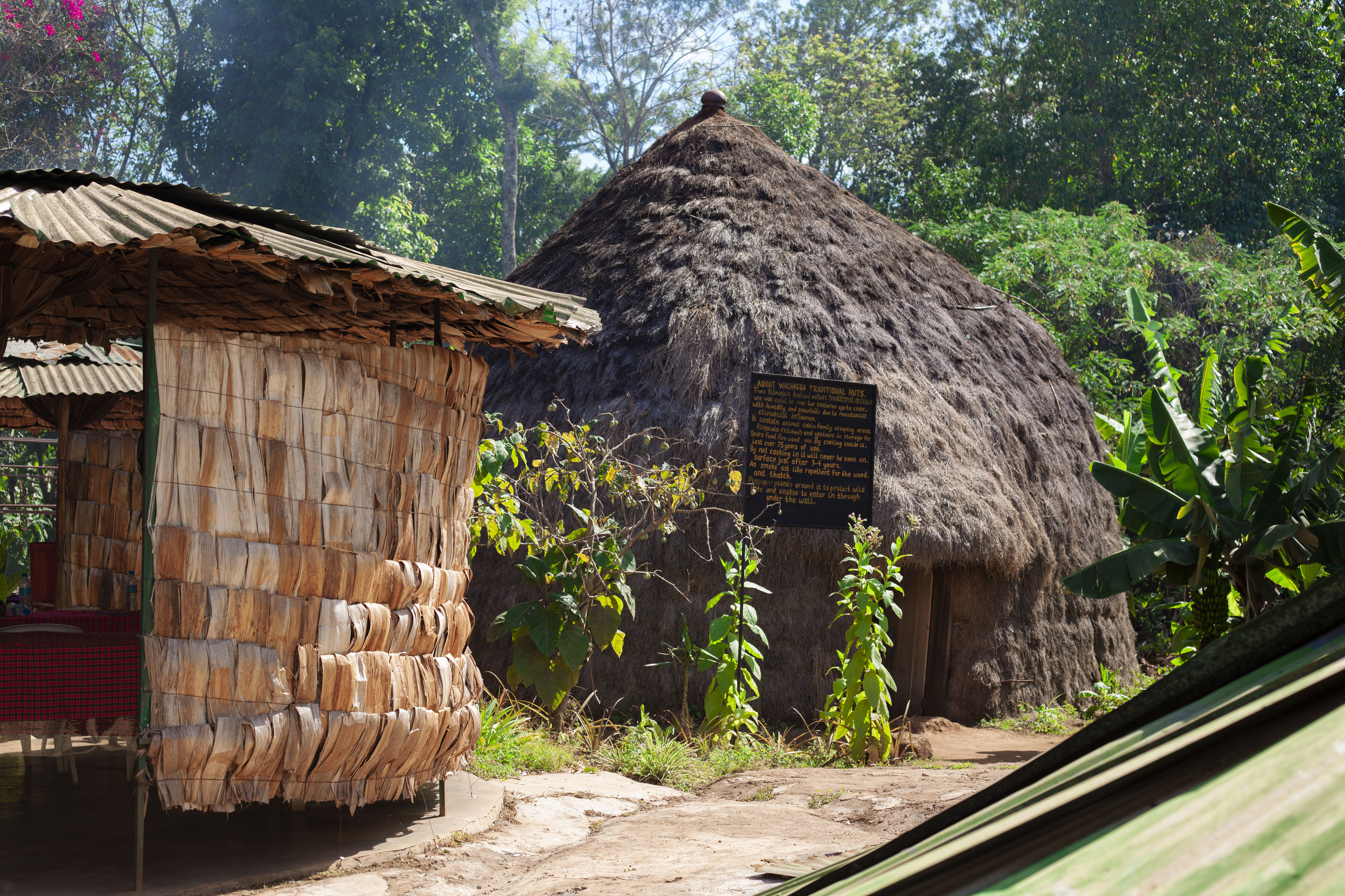 1-Day Trip Cycling to Rau Forest and Cultural Experience gallery image