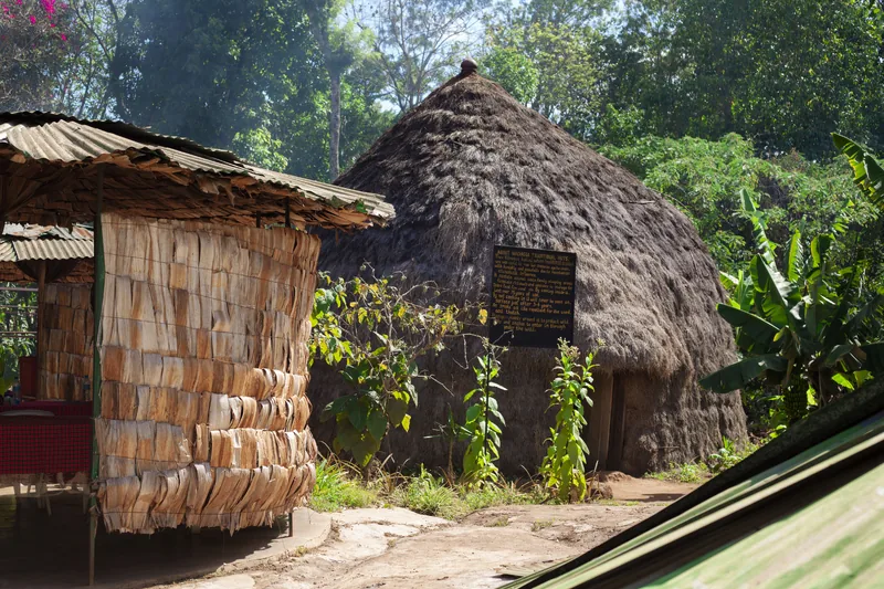 1-Day Trip Cycling to Rau Forest and Cultural Experience gallery image