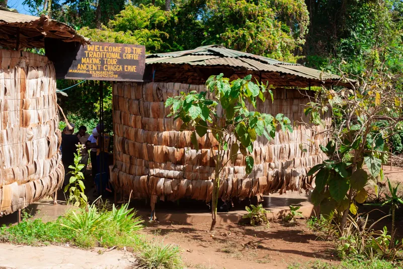 1-Day Trip to Materuni Waterfall & Coffee Tour Safari gallery image