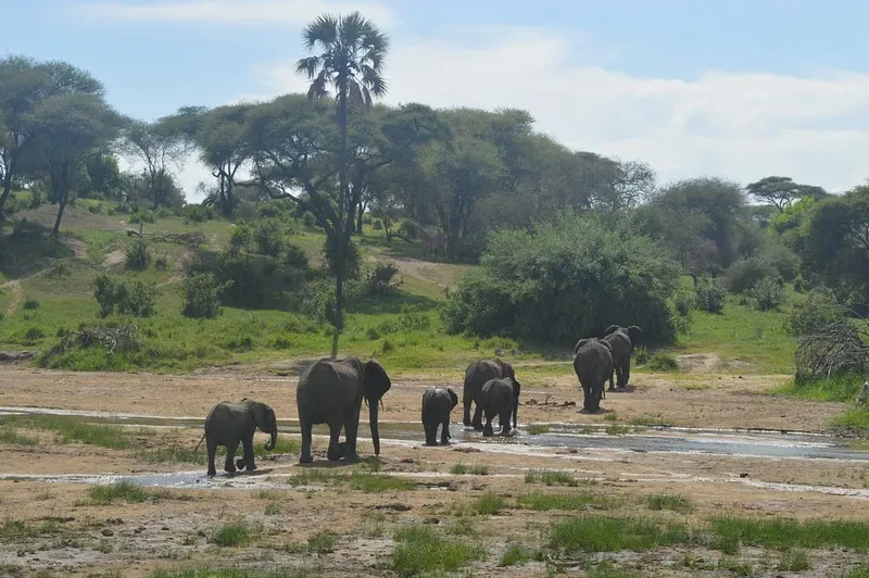 2-Day Tarangire & Ngorongoro; Wild Majesty
