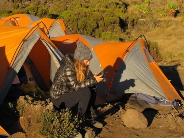 11-Day Kilimanjaro Trekking Tour Lemosho Route 2026 - 2027 -  2028 gallery image
