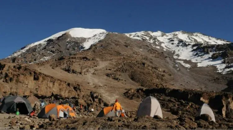 The best 1-Day Hiking Mount Kilimanjaro via Marangu Route  - Kilimanjaro gallery image
