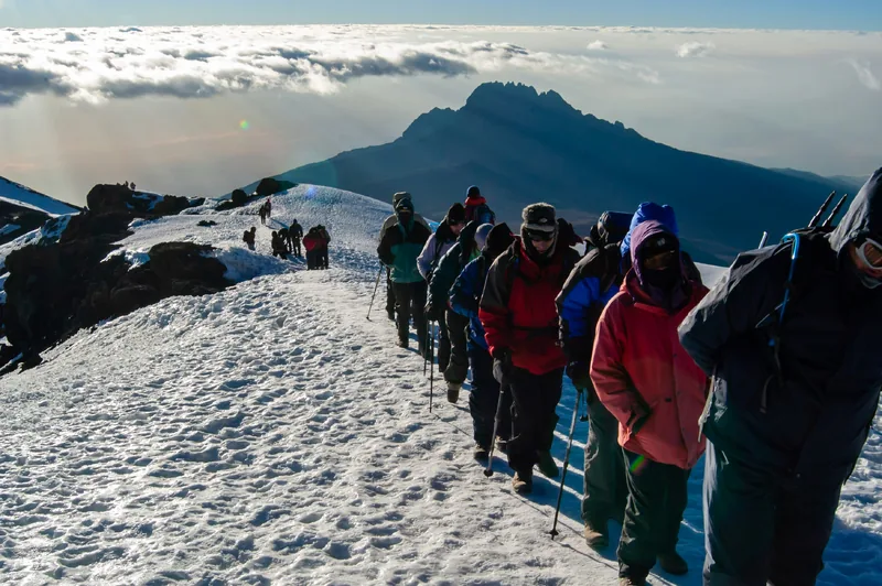 12-Day The Best Combinationof Mountaining Beach Holiday - Tanzania safari
