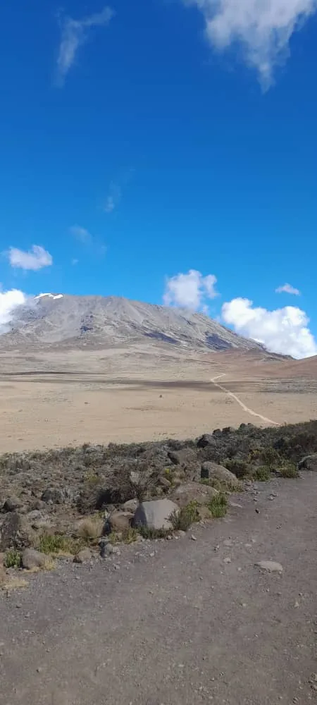 Ultimate Kilimanjaro 9-Days Kilimanjaro Trekking Adventure via Lemosho Route - Kilimanjaro