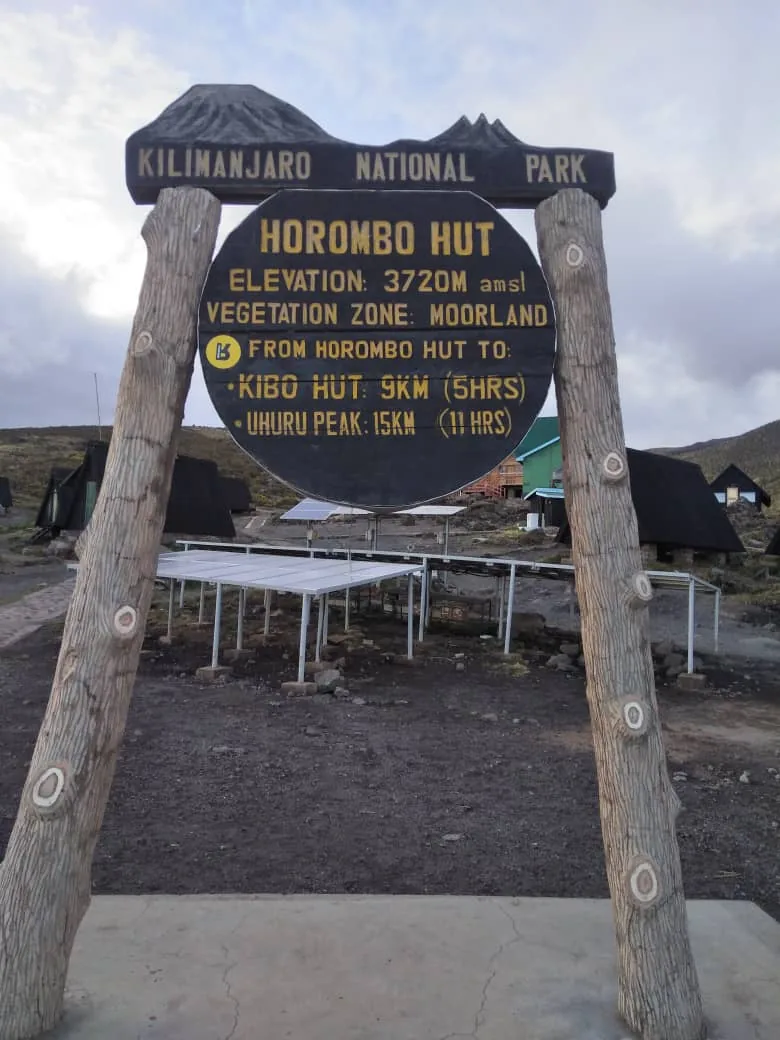 Ultimate Kilimanjaro 9-Days Kilimanjaro Trekking Adventure via Lemosho Route - Kilimanjaro gallery image
