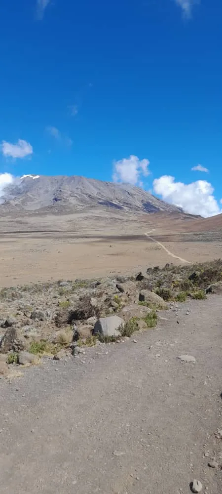 9-Day Northern Circuit Kilimanjaro Expedition hero photo