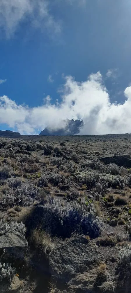 8-Day The Whiskey Kilimanjaro Trip Machame Route 2026 - 2027 - 2028 gallery image