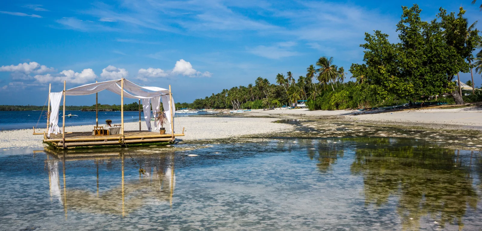 Zanzibar 8 Days Tours Package gallery image