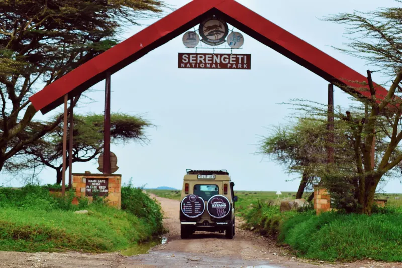 12-Day Wildlife Venture & Culture Experience - Tanzania safari