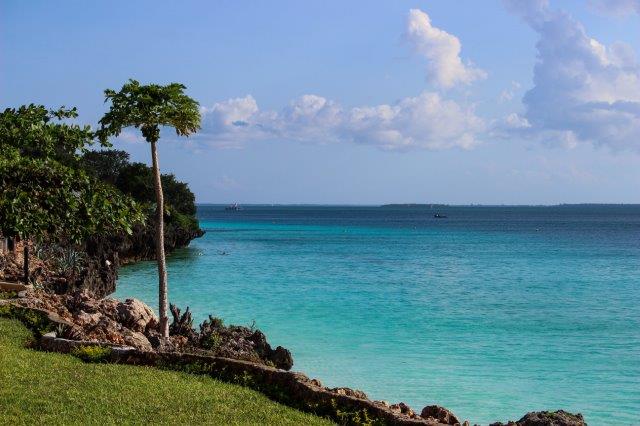 8-Day Tanzania Bush to Beach Excursion - Tanzania safari