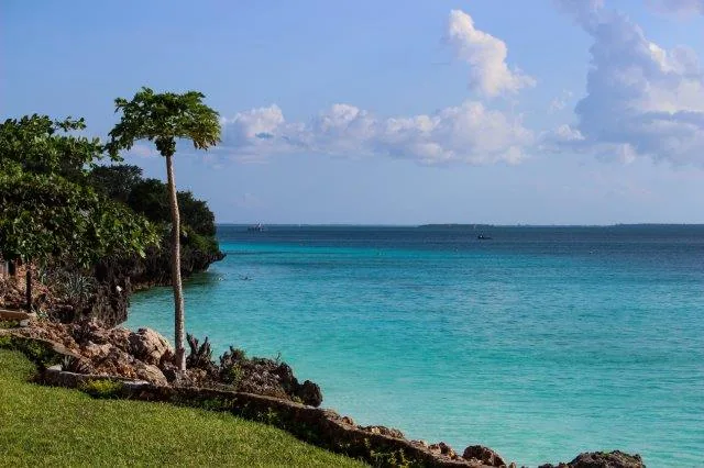 8-Day Tanzania Bush to Beach Excursion - Tanzania safari