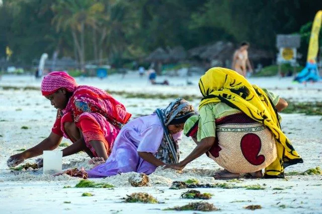 4-Day Fly in Zanzibar to Northern Circuit Classic Safari - Tanzania safari gallery image