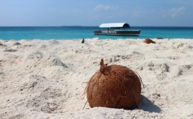 9-Day Safari and Zanzibar Combined - Tanzania safari gallery image