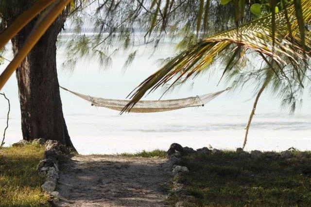 9-Day Mid-July - Sept - Bush to Beach - Exclusive Style - Tanzania safari hero photo