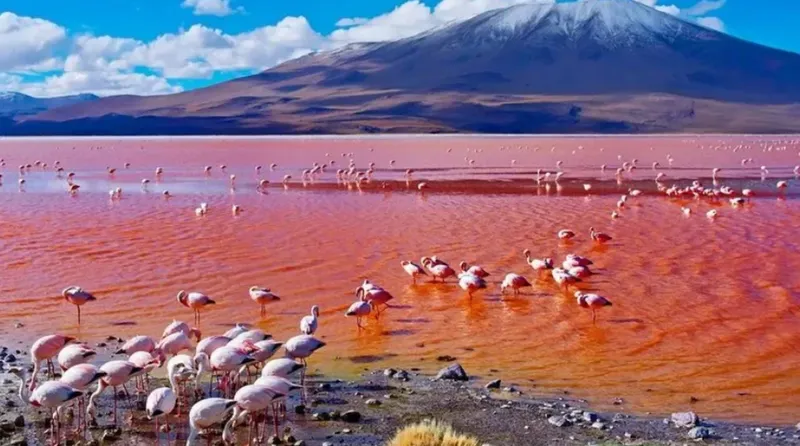 10-Day Serengeti Migration, Lake Natron & Big Five Safari Tanzania