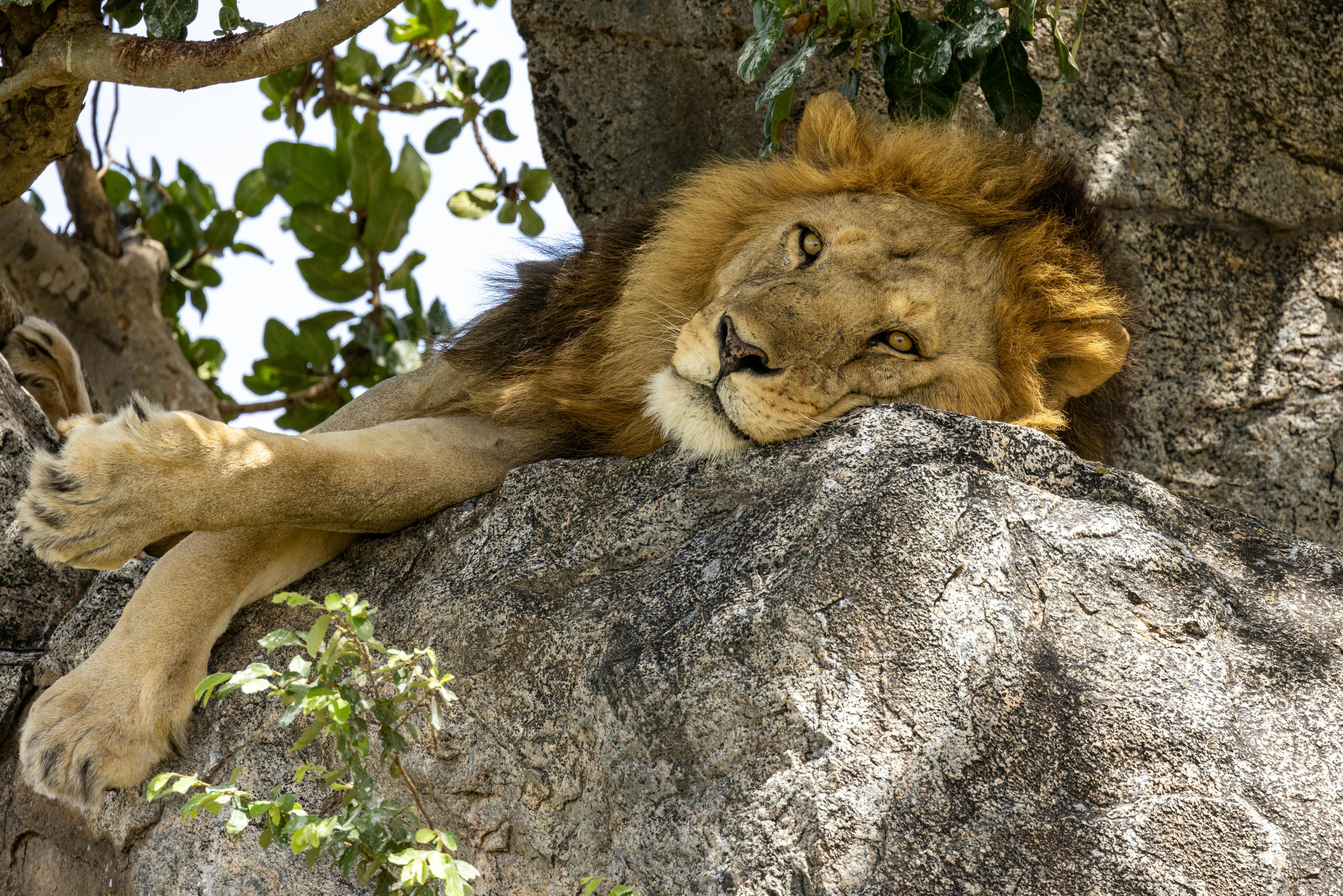 3 Days Historical Bagamoyo and Saadani NP Beach Safari Tour gallery image