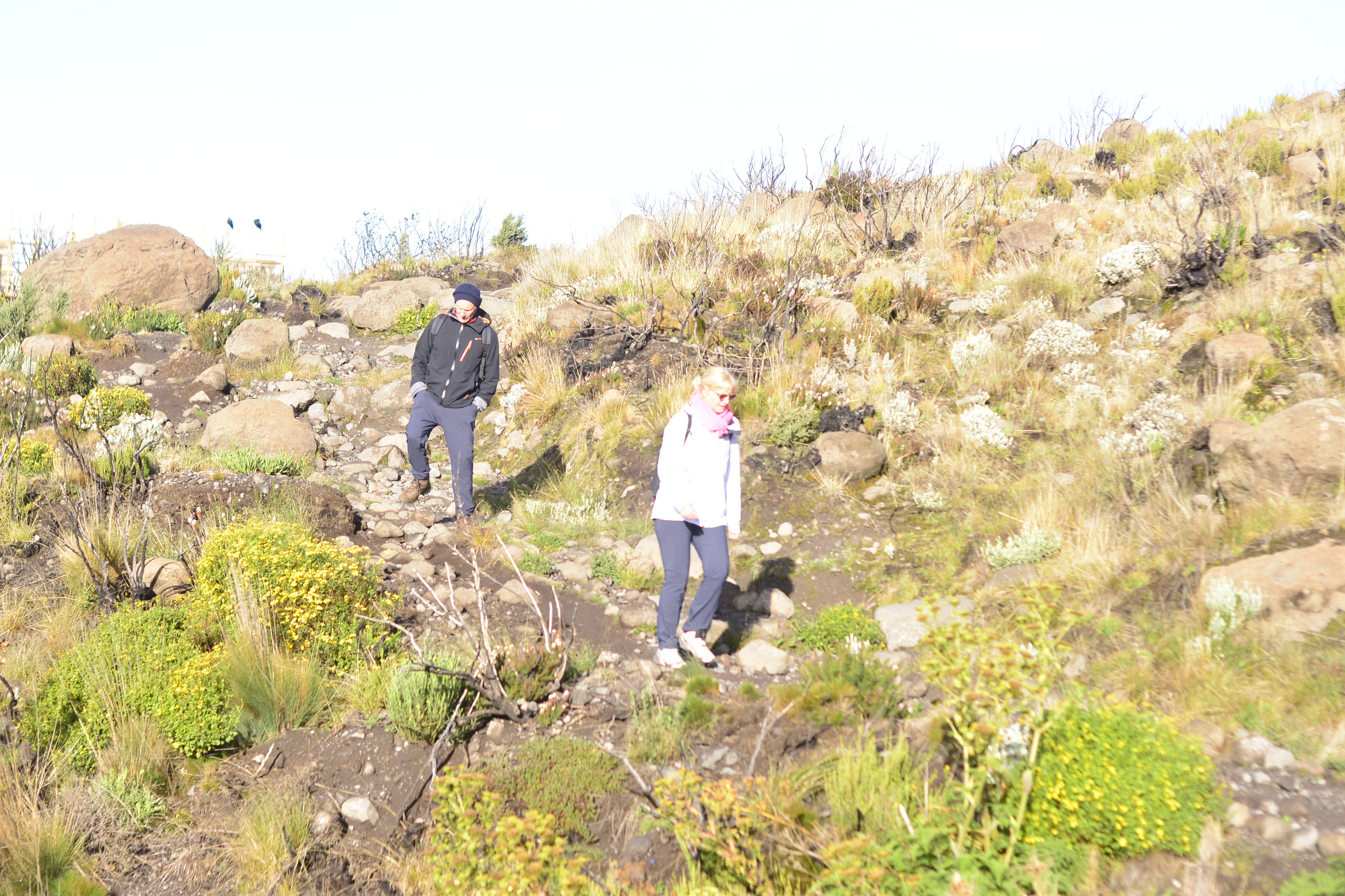 8-Day Kilimanjaro Tour via Marangu Route - 2026 - 2027 - 2028 gallery image