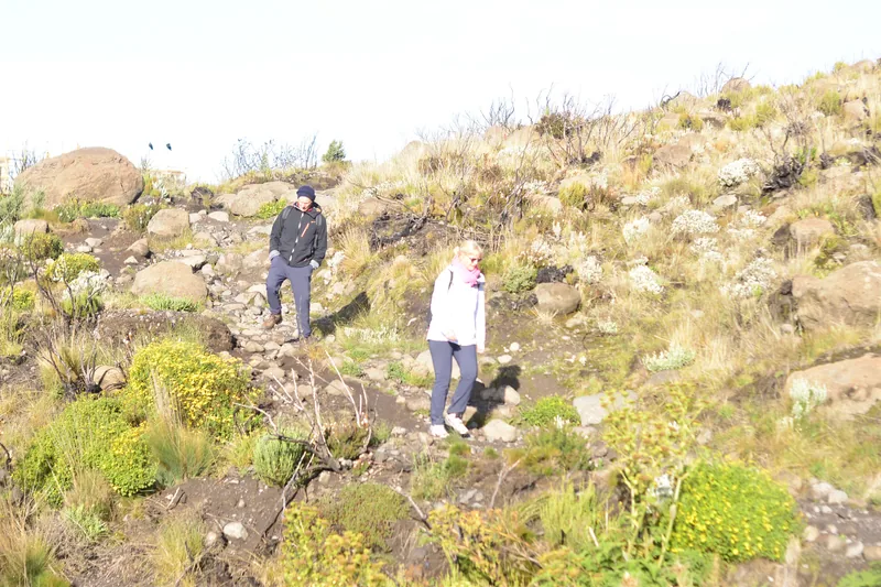 2-Day Health Trekking Kilimanjaro Through Marangu Route - Kilimanjaro gallery image