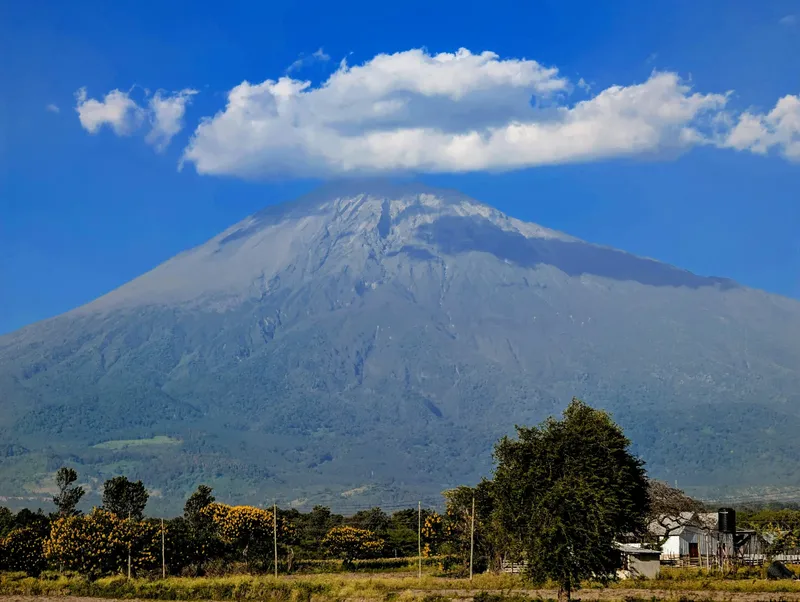 1 Day Arusha Cultural & Market Tour  -  Explore the City's Soul gallery image