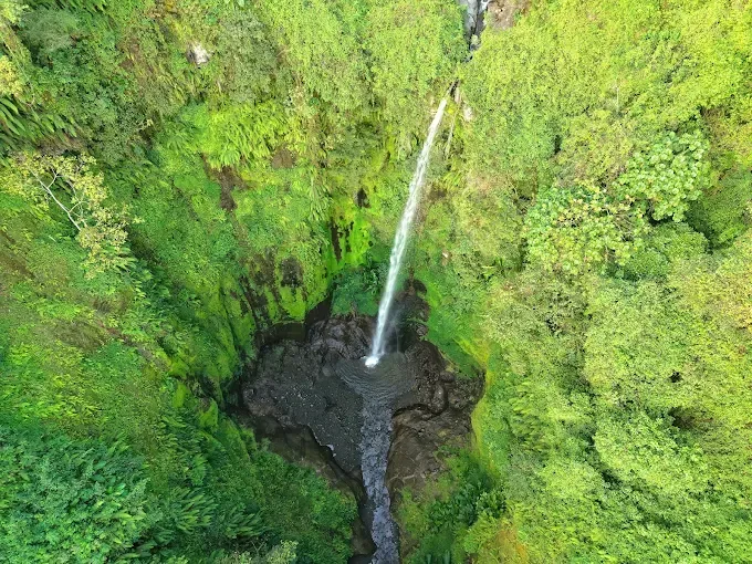 3-Day Arusha National Park, Serval Wildlife Na Napuru Waterfalls gallery image