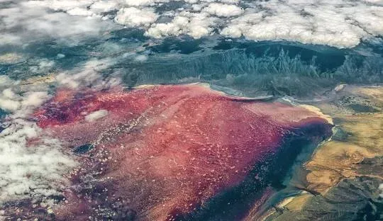 10-Day National Parks, Lake Natron & Great Migration Tour - Tanzania safari