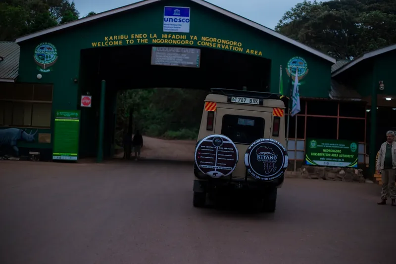 2-Day Fly from Zanzibar Luxury Tarangire & Ngorongoro