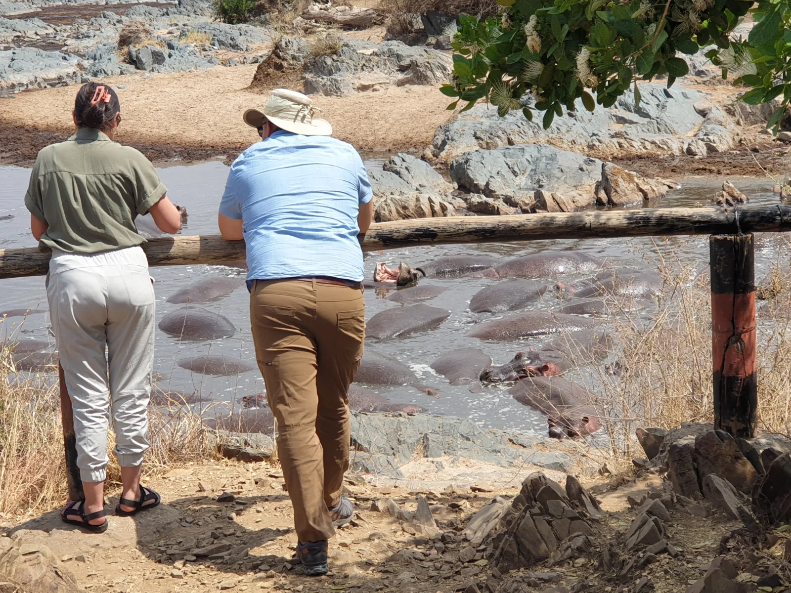 8 Days Victoria Falls, Chobe and Moremi Affordable Safari gallery image