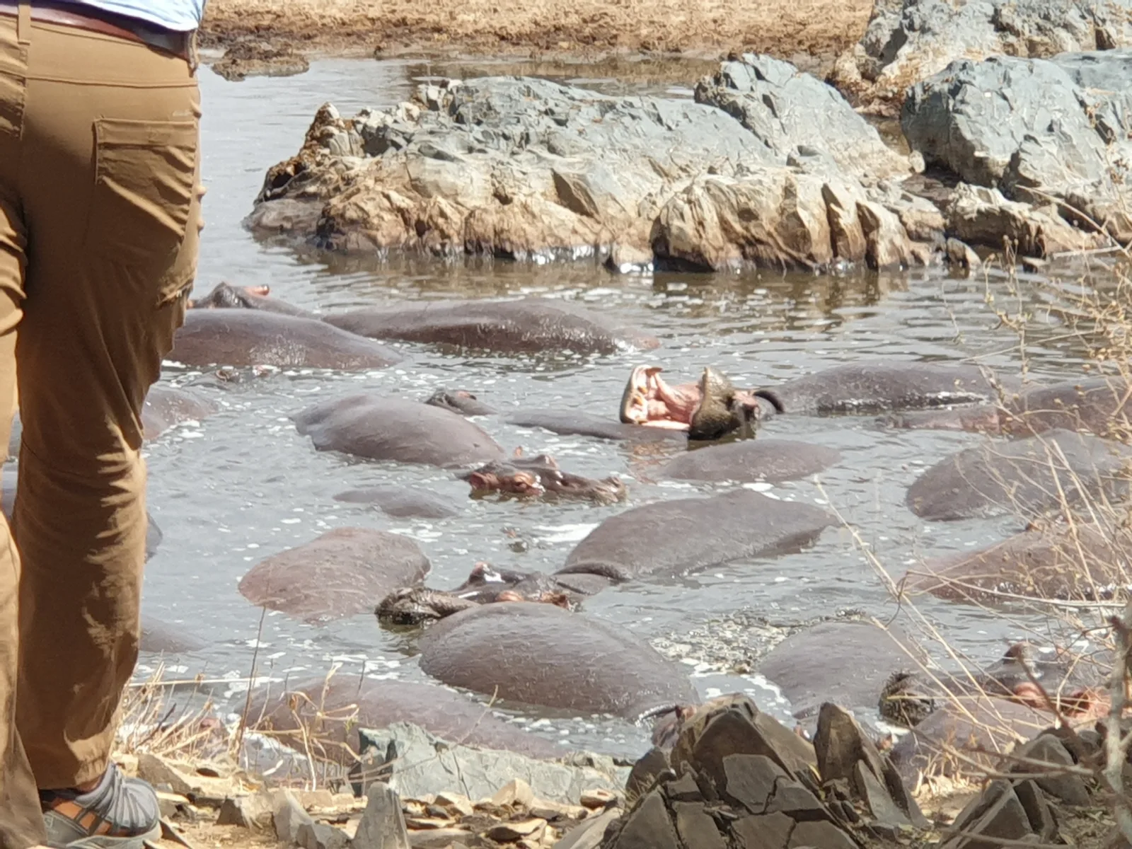 8 Days Victoria Falls, Chobe and Moremi Affordable Safari gallery image