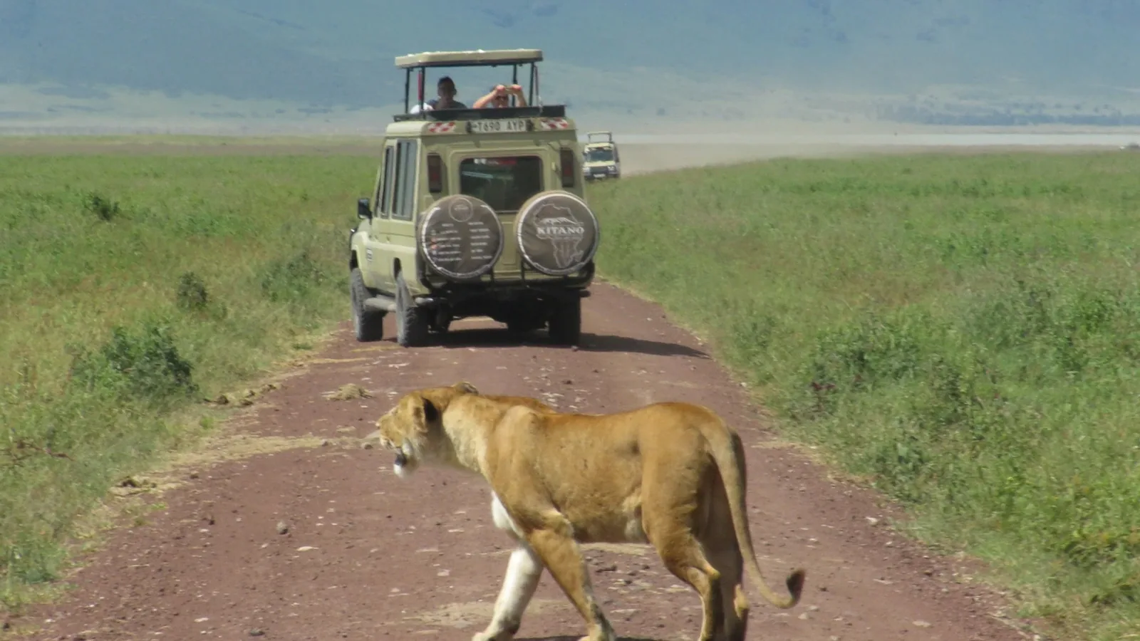 5-Day Tarangire, Serengeti, Ngorongoro & Manyara Journey - Tanzania safari hero photo