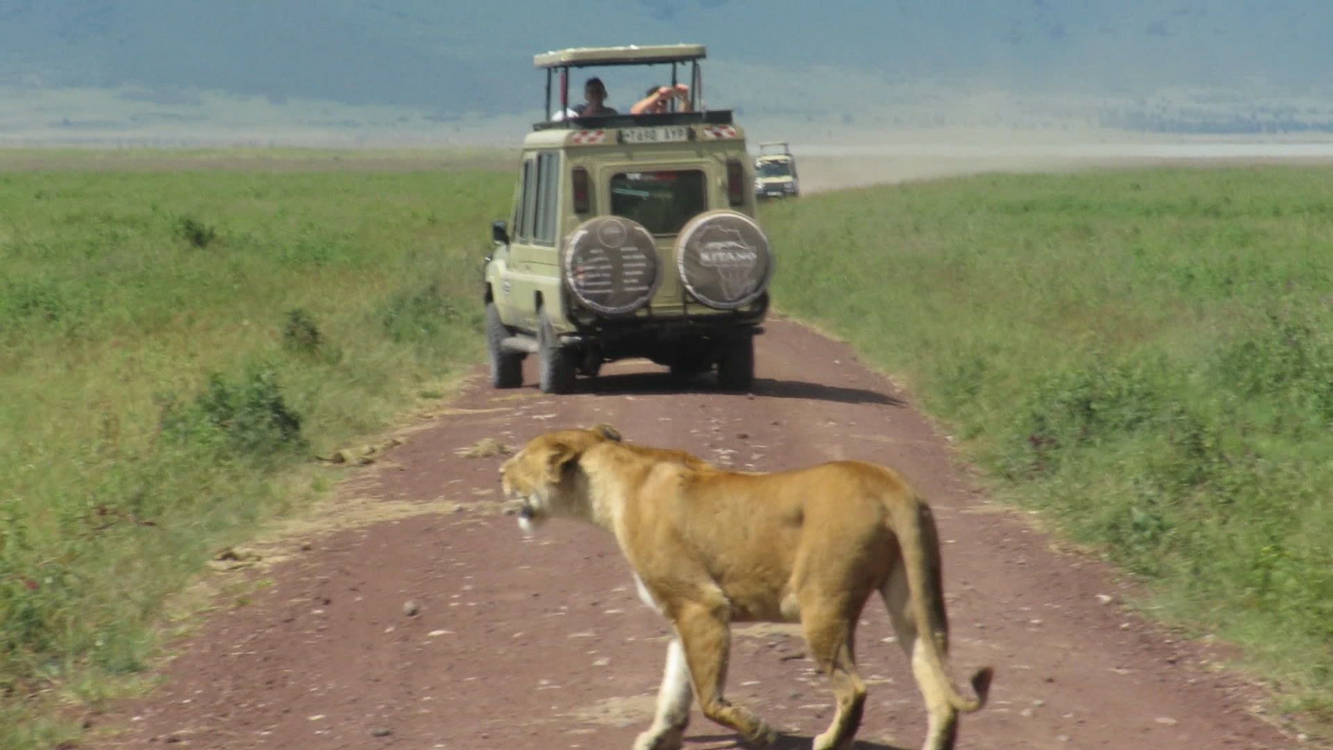 Attractive 3-Days Tanzania Luxury Safari (Tarangire & Ngorongoro) - Tanzania safari gallery image