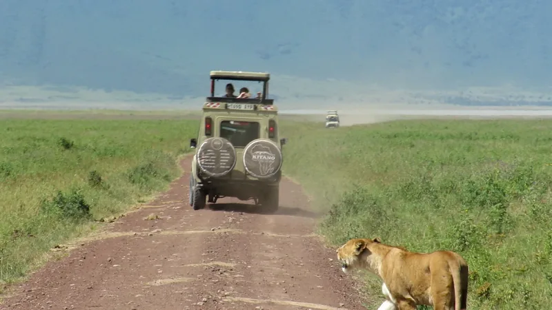 3-Day Best Choice Safari - Tanzania safari