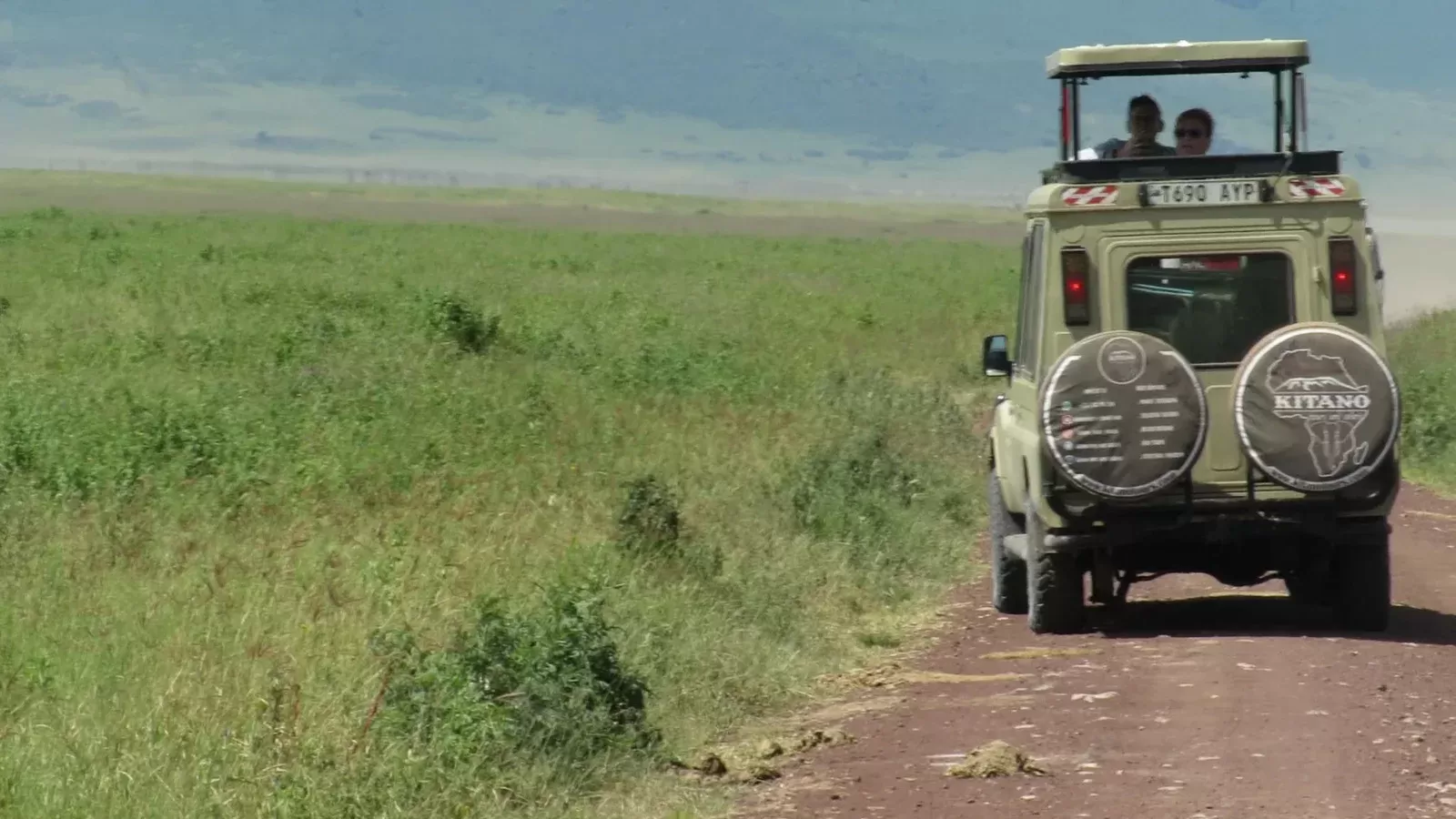 1-Day Private Kruger National Park Safari hero photo