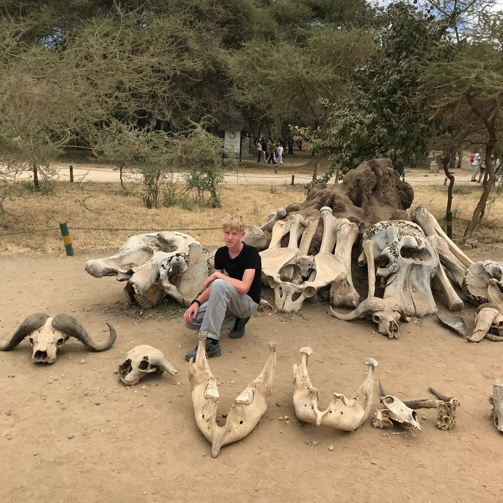 2-Day Fly-in Zanzibar Exlore Tarangire & Ngorongoro