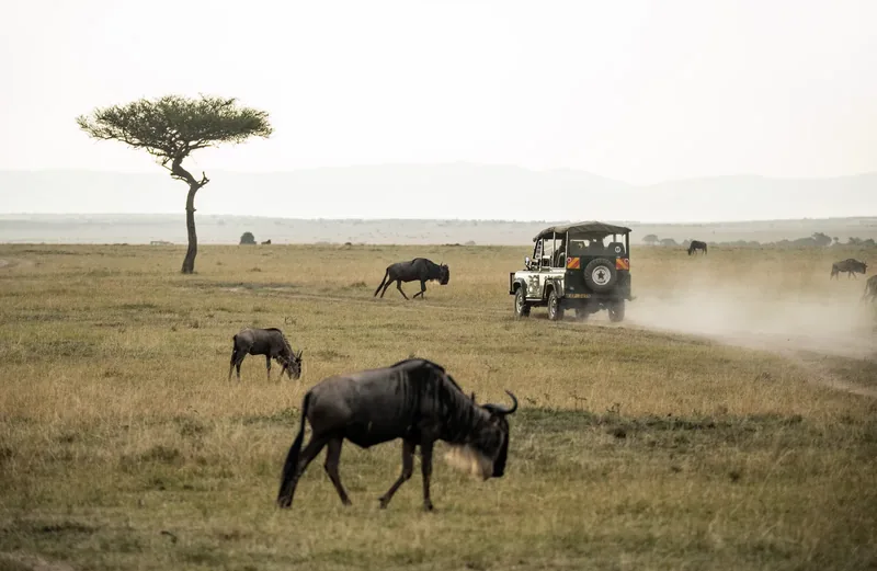 2-Day Lodging Safari to Tarangire & Ngorongoro Crater