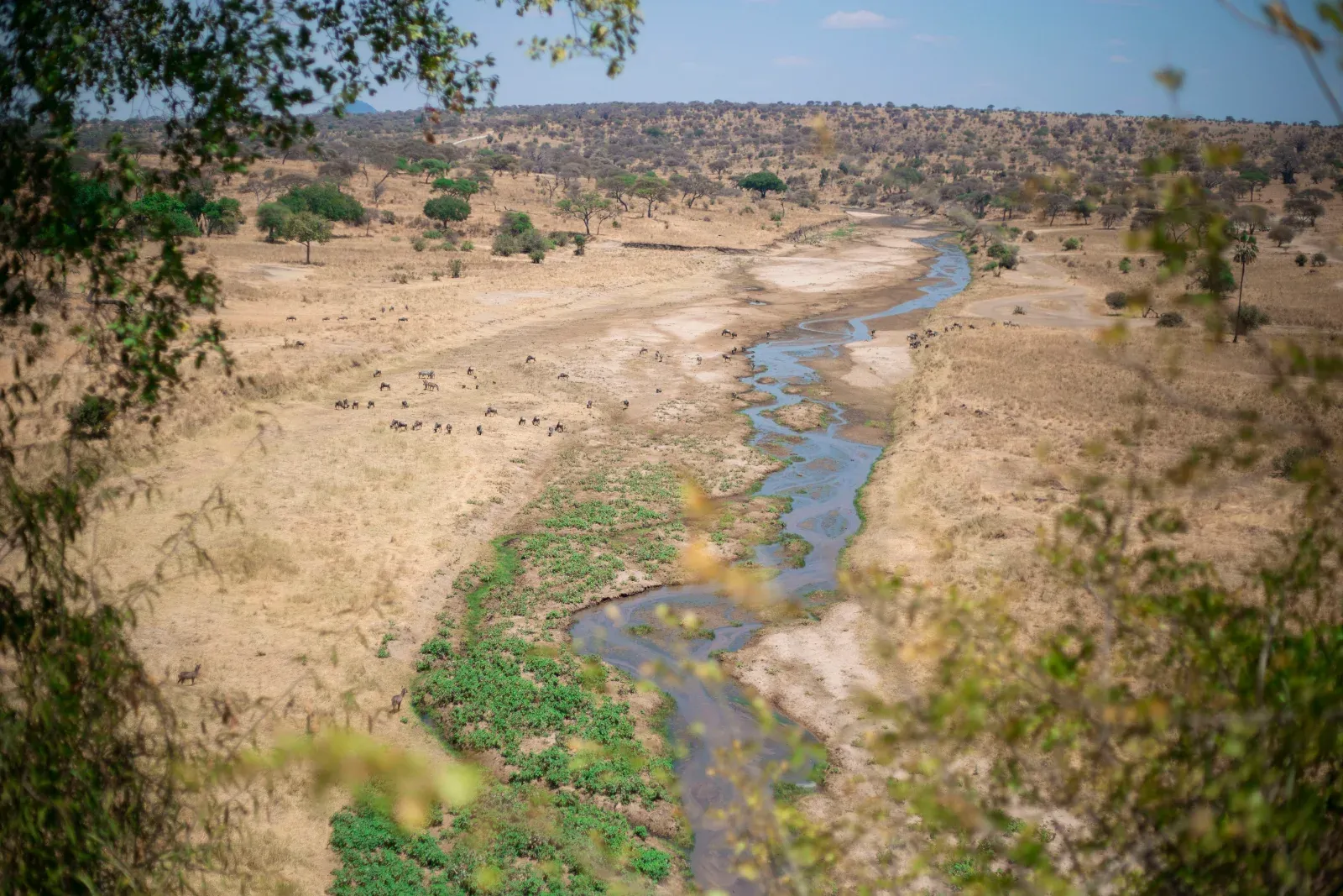 2-Day Tarangire and Ngorongoro Fly in Safari hero photo