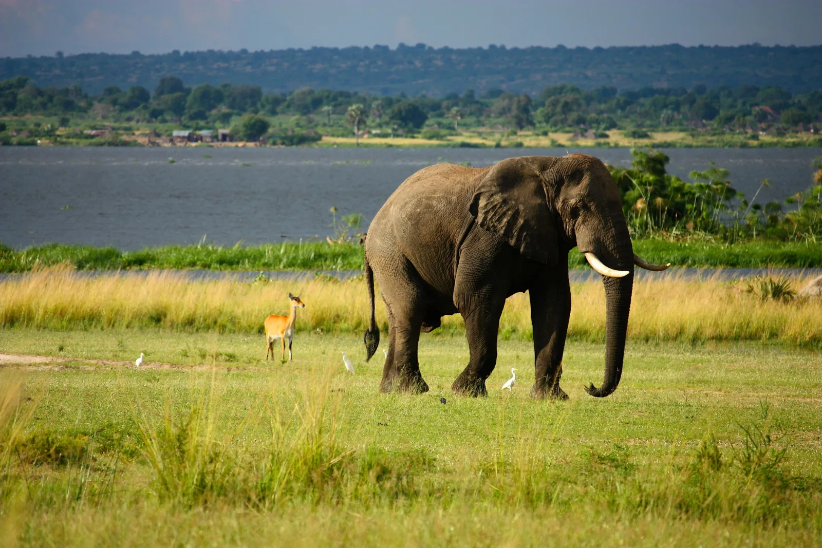 Ultimate 1-Day Arusha National Park Safari with Canoeing & Game Drive gallery image