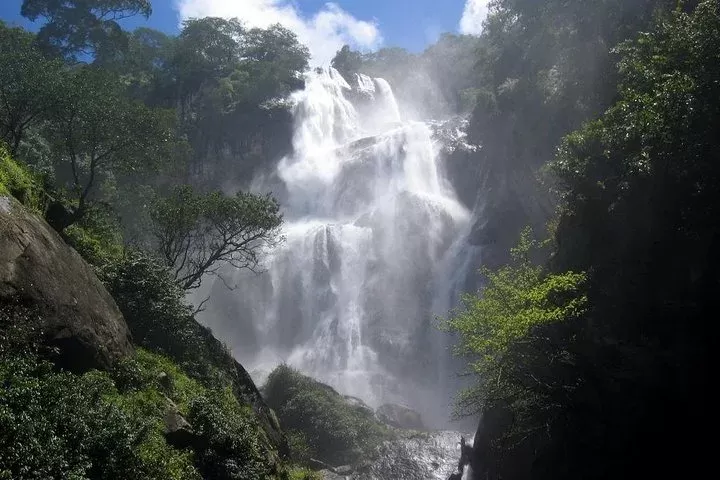 4 Days Enjoy Udzungwa and Mikumi NP
